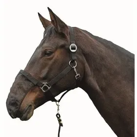 Meilleurs prix pour Protège naseaux pour cheval polaire HKM (x3)