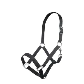 Comparer les prix de Licol nylon cheval HKM Brisbane