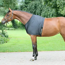Meilleurs prix pour Back on Track Shoulderguard - noir - Protection d'épaule