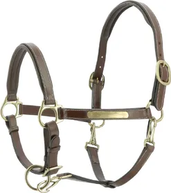 Meilleurs prix pour Licol Eric Thomas en cuir Groom havane - plusieurs tailles disponibles - Pur-sang