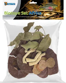 Meilleurs prix pour Sets naturels pour Biotopes aquatiques - 5 kits différents - ASIA