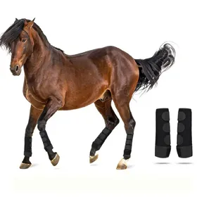 Comparer les prix de Guêtres arrière anti-choc pour chevaux, rembourrage SBR, tissu OK respirant, velcro réglab
