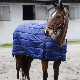Comparer les prix de Equithème Classic 200g Sous couverture