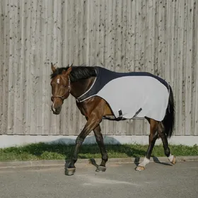 Comparer les prix de Couverture de marcheur pour cheval Equithème Equithème Flycool