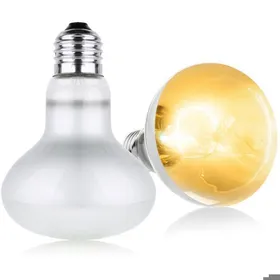 Meilleurs prix pour Lampe Chauffante 2 pcs 100W Lampe Chauffante Tortue UVA E27 Spiral Lampe Reptiles Silver Plated Glass Ampoule Lamp Chauffante Tortue