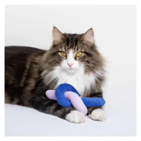 Meilleurs prix pour Jouet pour chat Coockoo Knotty Noodle
