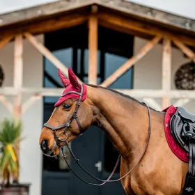 Meilleurs prix pour Horseware Amigo Ear Net
