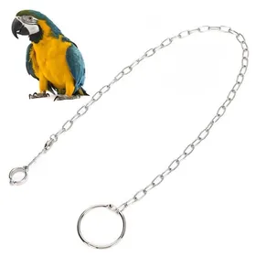 Meilleurs prix pour Chaîne de pied en acier inoxydable chaîne de pied dentraînement sûre pour Alexander Dove pour grands perroquets gris Golden
