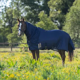 Meilleurs prix pour Imperial Riding Couverture anti-mouches IRHReese - Taille 165 - Bleu