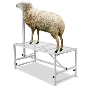 Comparer les prix de VEVOR Support pour chèvres et moutons, 1195x584 mm, support pour bétail, hauteur réglable 533-838 mm, support en métal pour traite tonte du bétail, charge 226 kg, avec têtière et boucle de nez, blanc