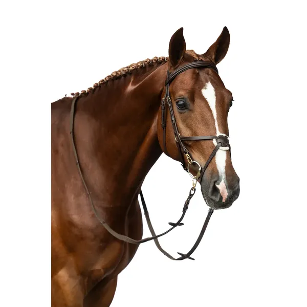 Bridon sans mors pour cheval HKM Mexican Style – photo 2