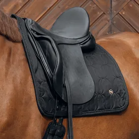 Meilleurs prix pour Chabraque de dressage Back on Track Deep Nights