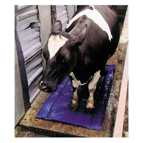 Shoof Tapis de dsinfection et de soin des onglons (Chien), Produits de soins pour animaux – photo 2