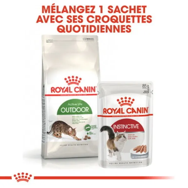 Outdoor 30 Royal Canin Croquettes pour chat – photo 3