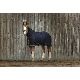 Meilleurs prix pour Chemise séchante pour cheval Equithème Combo