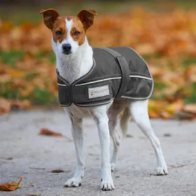 Meilleurs prix pour Waldhausen Couverture pour chiens Comfort Line 200g - Taille 35 - Gris