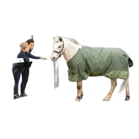 Meilleurs prix pour Couverture dextérieur pour cheval imperméable Harrys Horse STOUT! 200g - legergroen - Vert - 115 cm