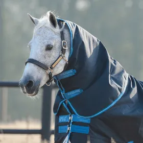Meilleurs prix pour Horseware Amigo Bravo 12 Turnout Hood 150g - Taille XL - Bleu