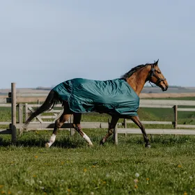Comparer les prix de Equithème Tyrex 600D – Couverture d’extérieur 50g - Taille 5'9