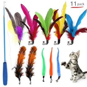 Meilleurs prix pour Chat plume jouet interactif plume Teaser jouet rétractable chat jouets baguette 11 pièces multicolore