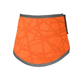 Comparer les prix de Bandana pour chien haute visibilité Back on Track Draco