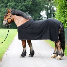 Comparer les prix de Chemise séchante polaire Kavalkade Ecoline pour sang froid - Taille 155 - Noir