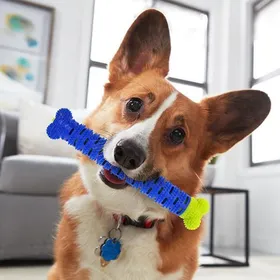 Comparer les prix de SHOP-STORY - L'os à mâcher anti-tartre pour chien