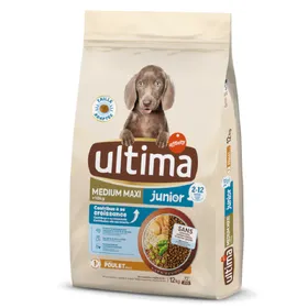 Meilleurs prix pour Medium / Maxi Junior poulet Ultima - Croquettes pour chien
