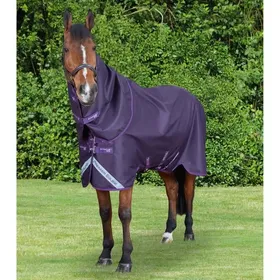 Meilleurs prix pour Couverture dextérieur pour cheval avec couvre-cou classique Premier Equine Stratus 600D Series 0 g - purple - Violet - 206 cm