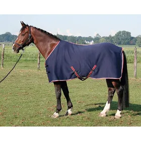 Comparer les prix de Chemise pour cheval réfrigérante en jersey Harry's Horse