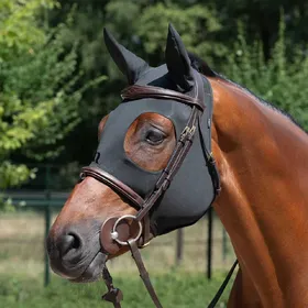 Comparer les prix de Masque pour cheval apaisant Back on Track
