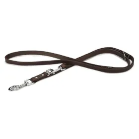Meilleurs prix pour Beeztees Laisse pour chien (Chien, Sport canin), Collier + laisse