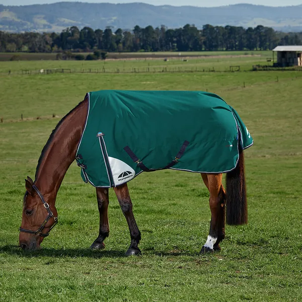 Couverture d'extérieur pour cheval Weatherbeeta Comfitec Plus Dynamic 100g – photo 2