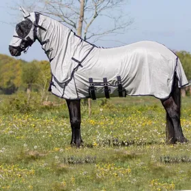 Meilleurs prix pour Couverture anti-mouches pour cheval avec masque - grand cou QHP