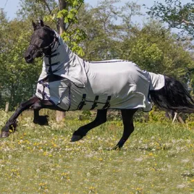 Meilleurs prix pour Couverture anti-mouches pour cheval avec masque - grand cou QHP
