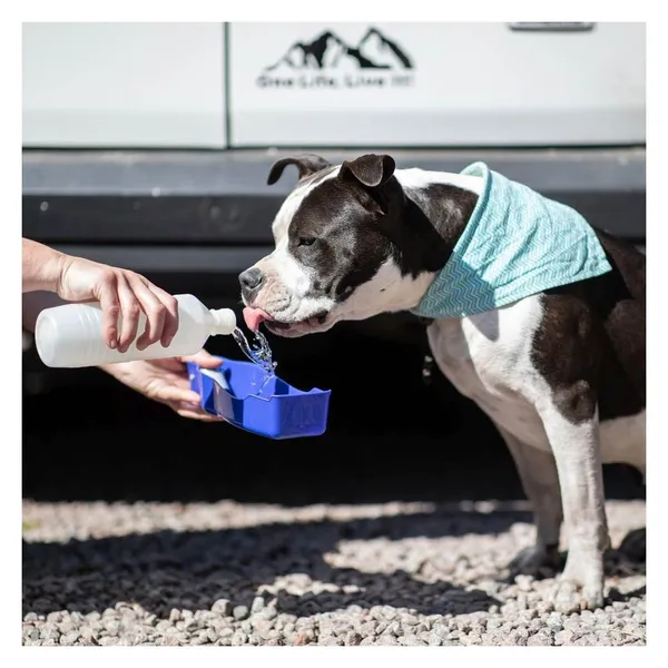 Nobby Bouteille De Voyage Pour Chien Bleu 750 Ml – photo 2