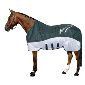 Comparer les prix de Imperial Riding Rain- & Fly Super-Dry 0g - Taille 205 - Vert