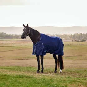 Comparer les prix de Weatherbeeta Comfitec Prelim Turnout 220g - Taille 165 - Bleu