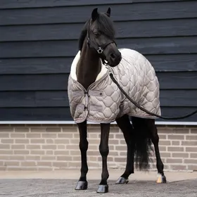 Comparer les prix de Couverture d'écurie pour cheval Imperial Riding Bandit 0g