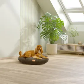 Comparer les prix de Coussin Relax Boucle Vert pour chien et chat - 78x50x11cm