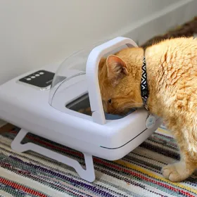 Meilleurs prix pour Distributeur de nourriture Zolia ZD5 à médaillon électronique pour chien et chat - 650ml
