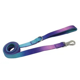 Meilleurs prix pour Fournitures pour animaux de compagnie Collier pour chien Sangle de cou élargie à dégradé Laisse tactique Circonférence du cou Grand chien Animal de compagnie 2.5cm*150cm blue