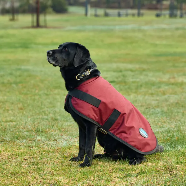 Manteau pour chien impérméable Weatherbeeta Comfitec Classic - burgundy - Rouge - 35 cm – photo 2