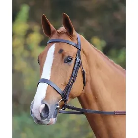 Meilleurs prix pour Bride équitation uni Velociti Gara