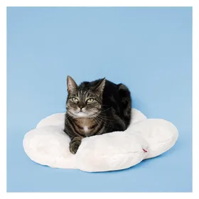 Comparer les prix de Coussin pour chat Coockoo Lazy Daisy