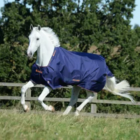 Meilleurs prix pour Couverture d'extérieur pour cheval imperméable Bucas Therapy 150g