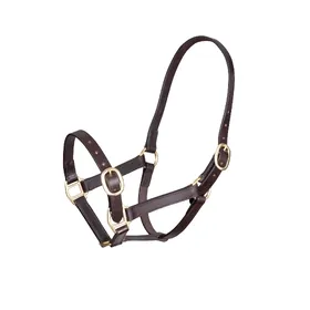 Comparer les prix de Licol ajustable pour cheval en cuir Velociti Gara