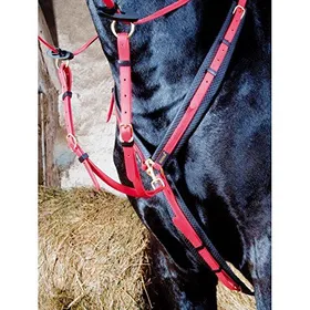 Comparer les prix de T·De·T - Collier De Chasse Biotack Rouge Pur-Sang