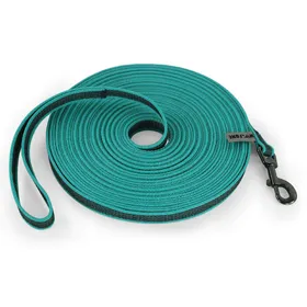 Comparer les prix de 1,5M/2M/5M/3M/15M Laisse pour chien moyenne petite longue Latex Soie Facile et pratique Entraînement Grande laisse pour chien bicolore 10 mètres (as the picture,2M) blue