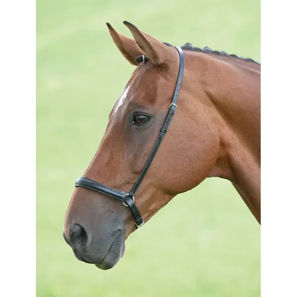 Muserolle cheval Velociti Gara Drop – photo 2